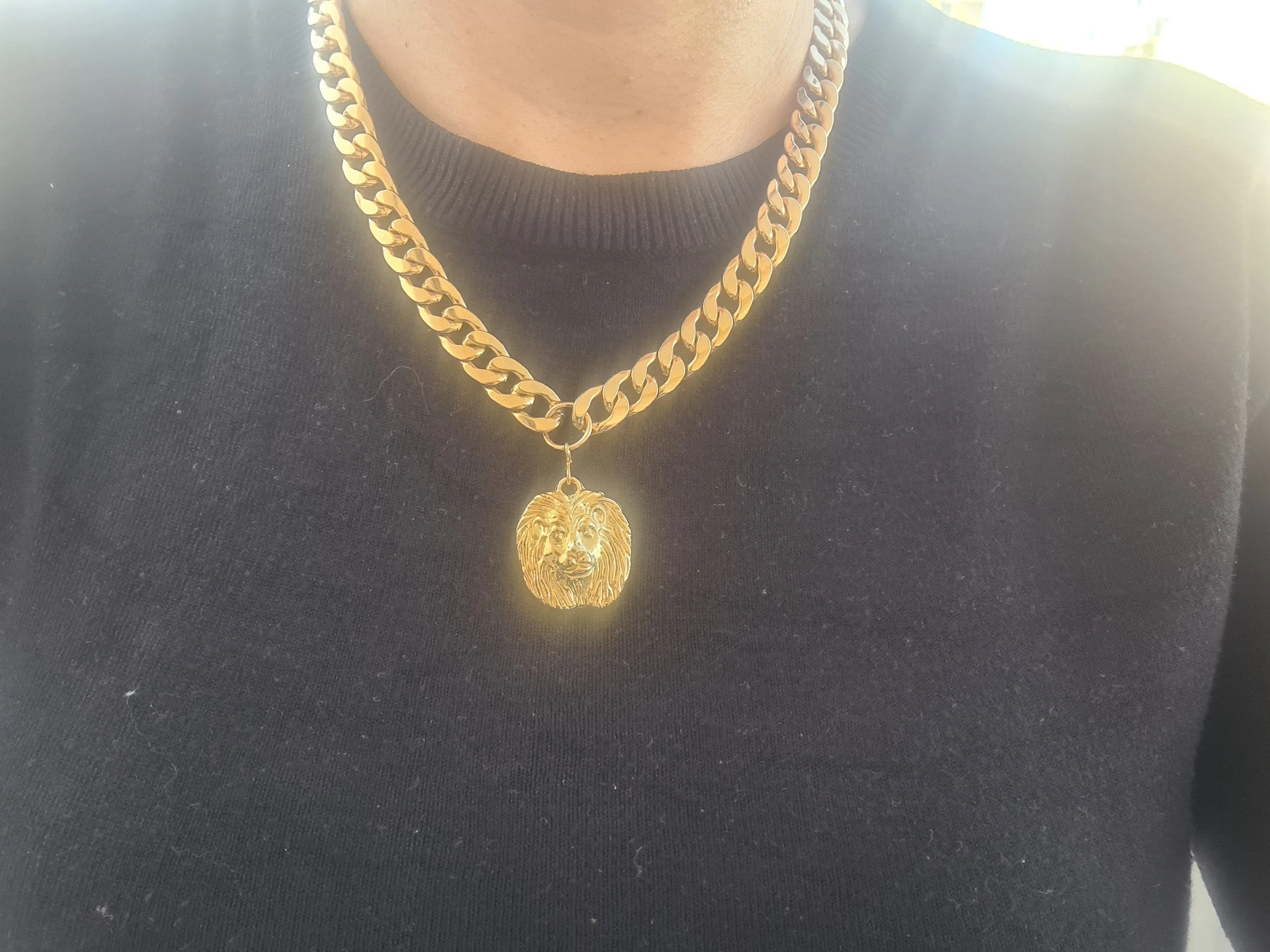 Lion Coin Necklace