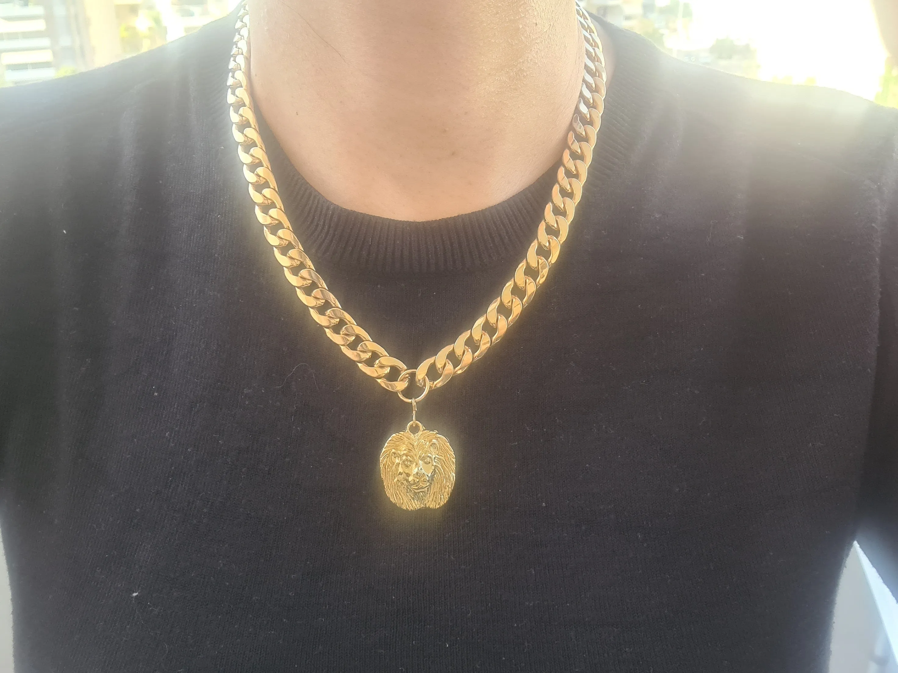 Lion Coin Necklace