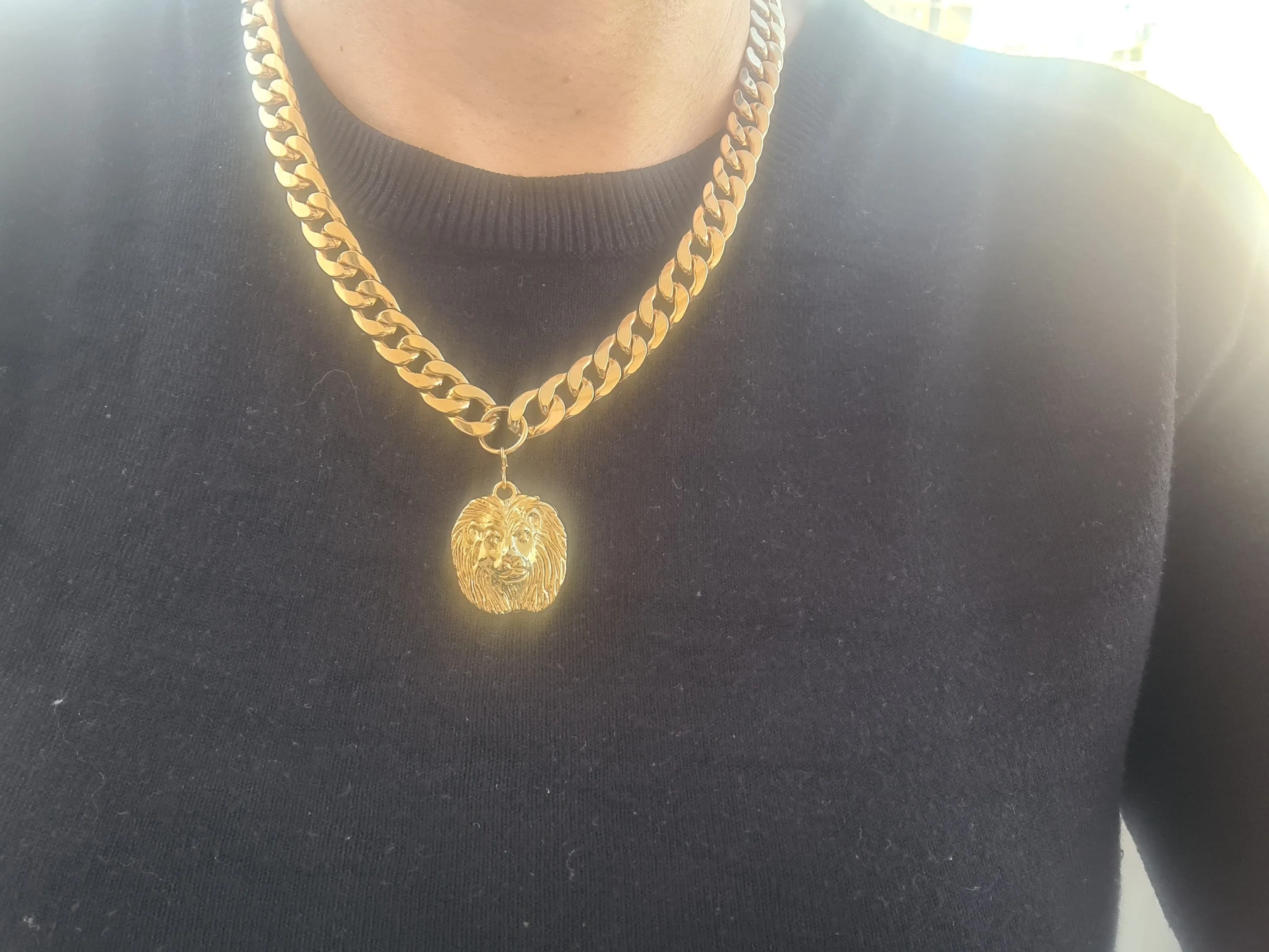 Lion Coin Necklace