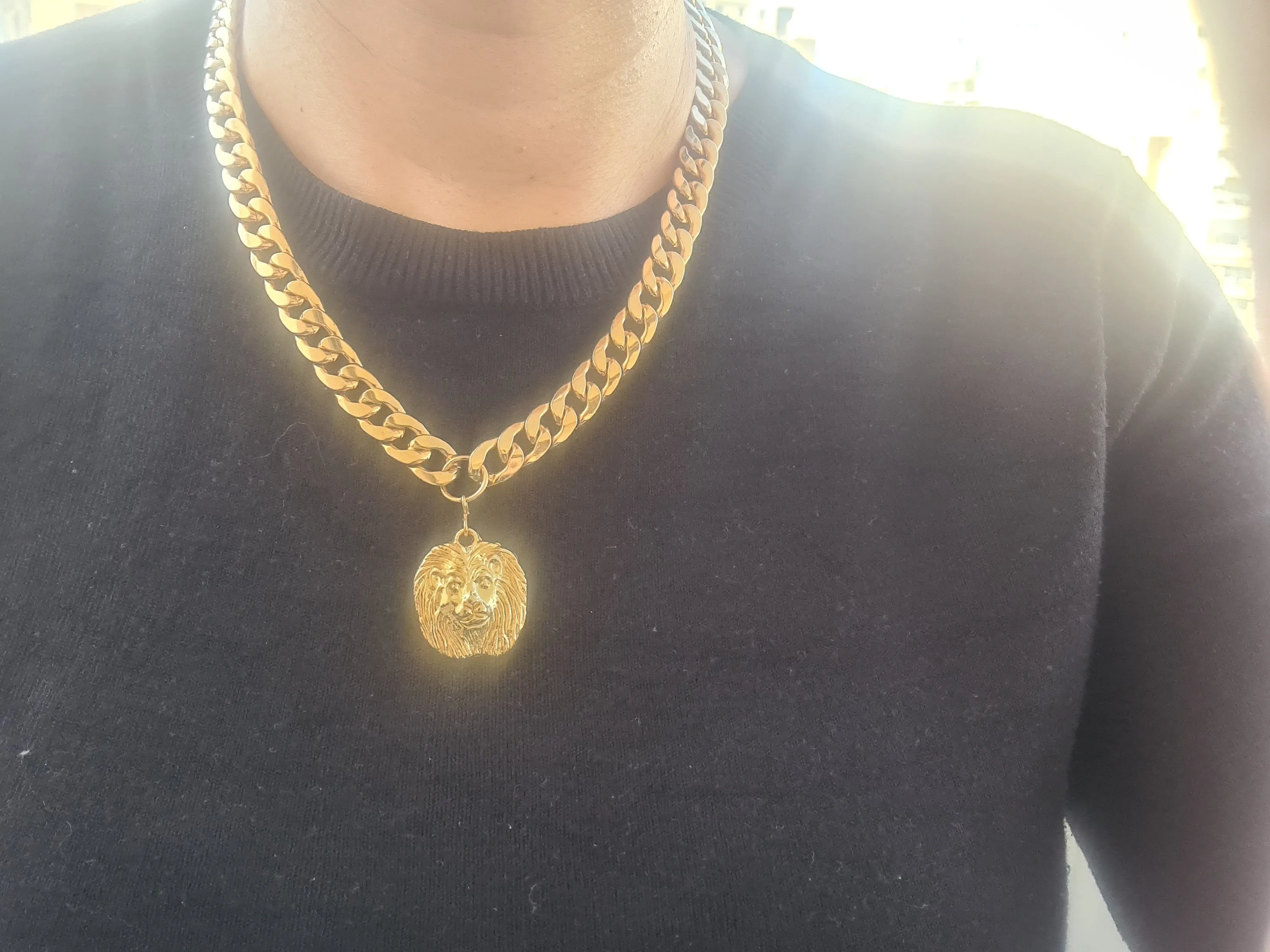 Lion Coin Necklace