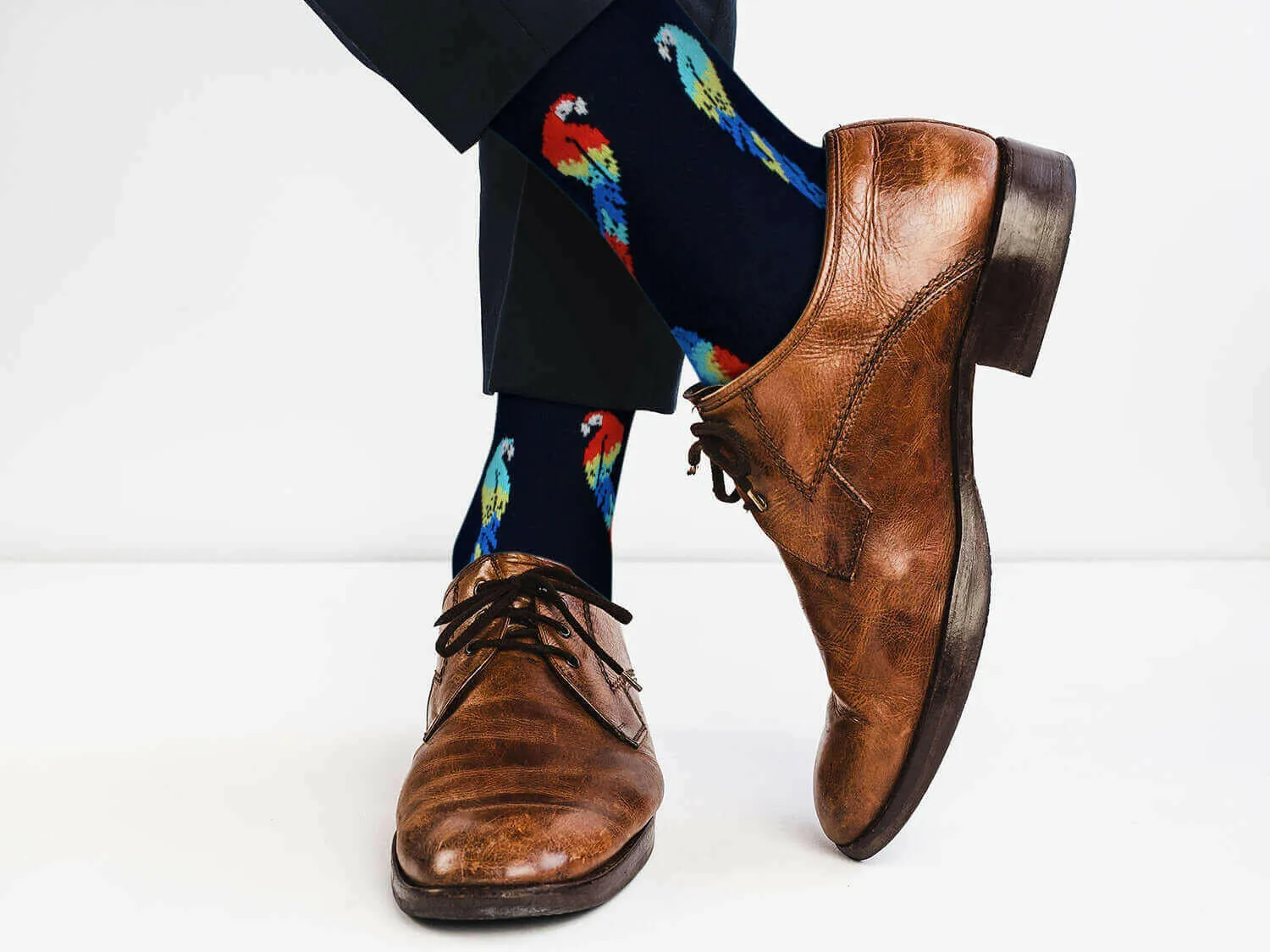 Sick Socks - Parrots – Exotic Animals Socks By Real Sic